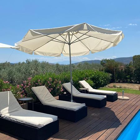 Georges Villa Galaxidi, Family, Pool And Garden Eksteriør billede