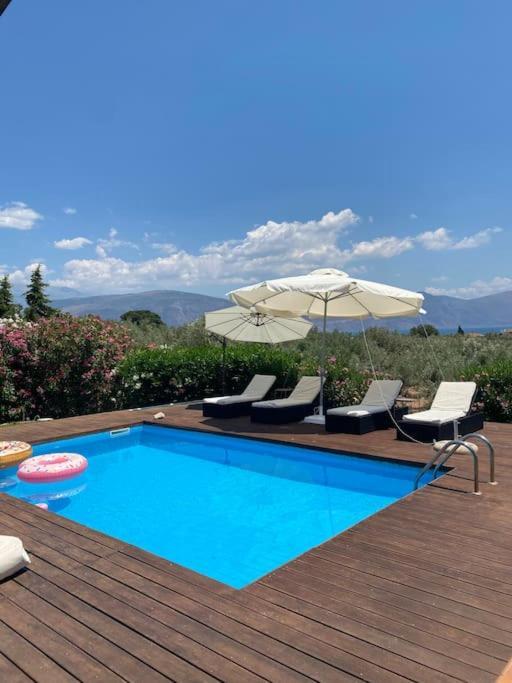 Georges Villa Galaxidi, Family, Pool And Garden Eksteriør billede