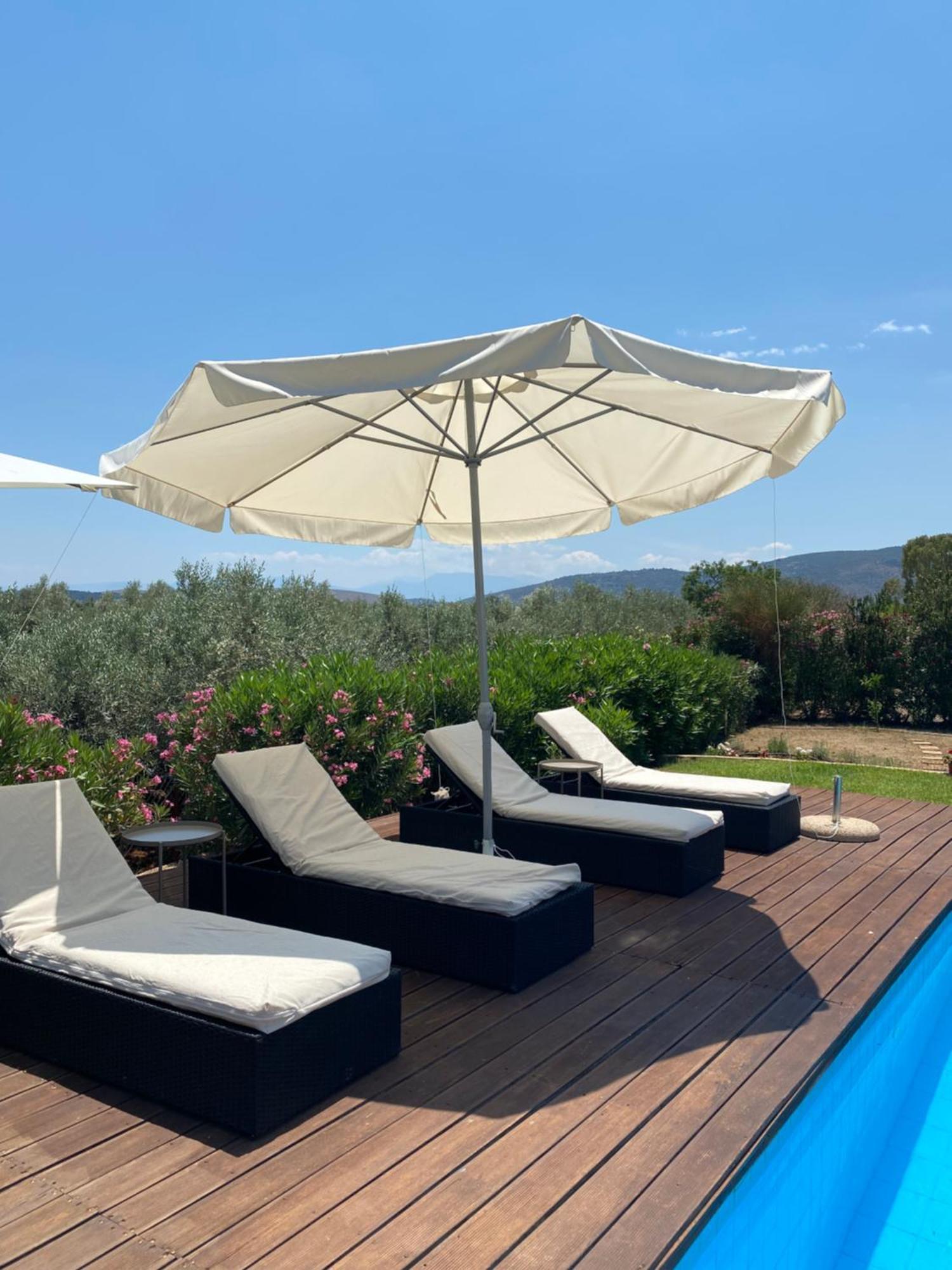Georges Villa Galaxidi, Family, Pool And Garden Eksteriør billede