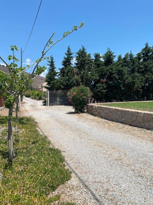 Georges Villa Galaxidi, Family, Pool And Garden Eksteriør billede