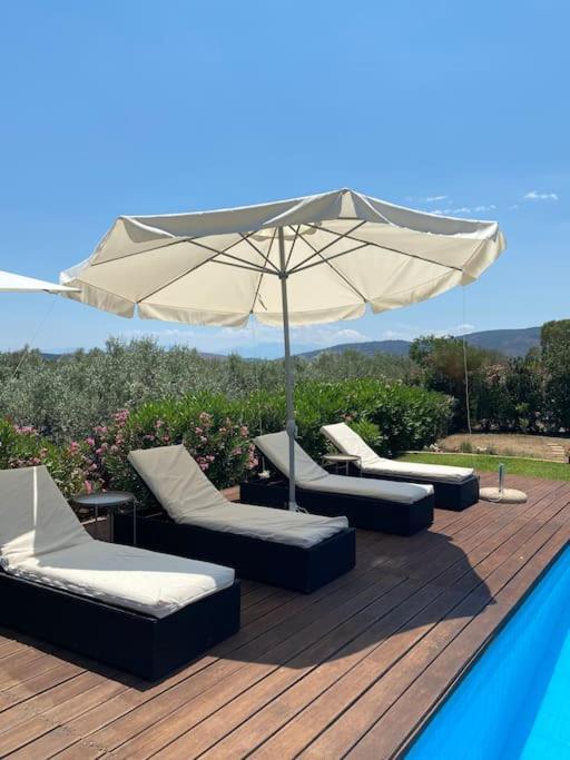 Georges Villa Galaxidi, Family, Pool And Garden Eksteriør billede