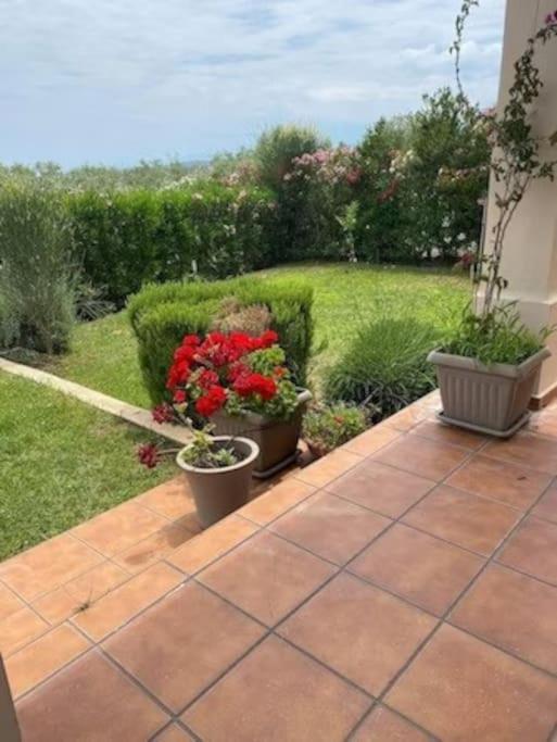 Georges Villa Galaxidi, Family, Pool And Garden Eksteriør billede