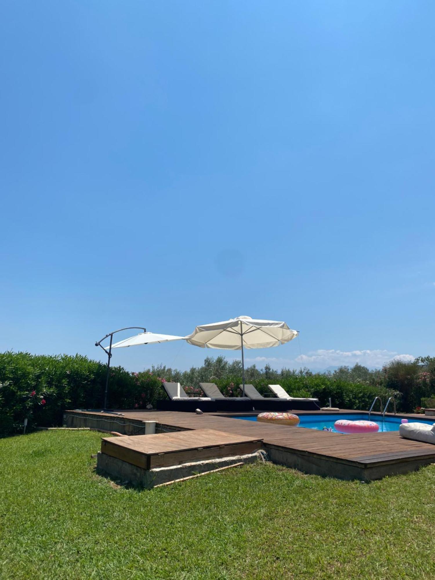 Georges Villa Galaxidi, Family, Pool And Garden Eksteriør billede